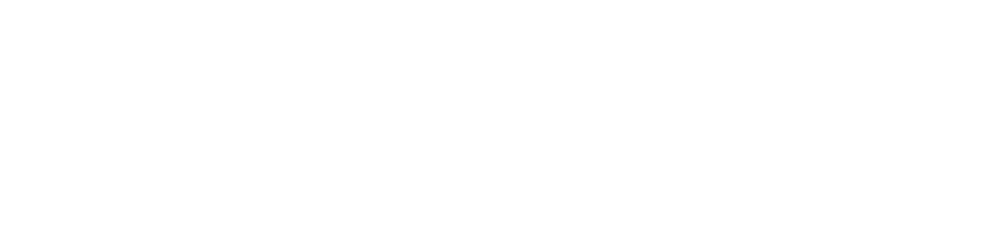 有限会社 ニューオート